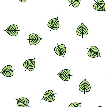 Linden leaf vector seamless pattern イラスト素材