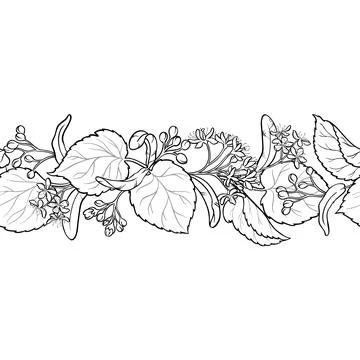 Linden Outline Horizontal Seamless Pattern Stock-Illustration