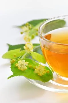 Linden tea Stock Photos