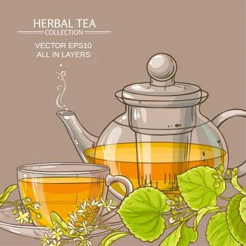 Linden tea vector background Illustrazione stock