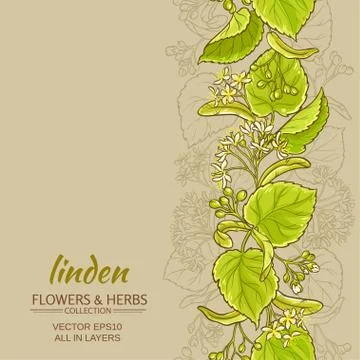 Linden vector background Stock Illustration