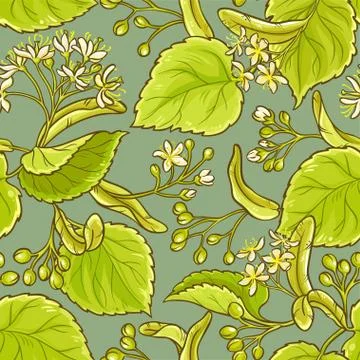 Linden vector pattern Stock Illustration
