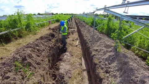 A line of African workers digging a trench for electrical cables at engineering Stock Footage 332734360