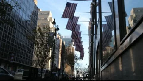 Line of American Flags Stock Footage 9812506