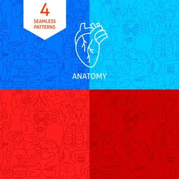 Line Anatomy Patterns Stock Illustration