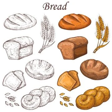 Line and colored bakery vector elements. Loaf of breads isolated on white Illustrazione stock