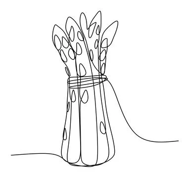 Line art asparagus bundle.  Stock Illustration