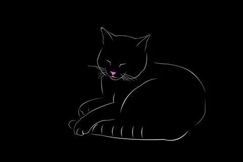 Line-art cat sleeping vector on black background Stock Illustration
