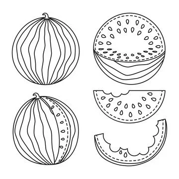 Line art collection of 5 elements Ripe watermelons Stockillustratie
