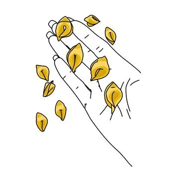 Line art drawing a hand make and holding a bunch of yellow tortellini pasta. Car Stock Illustration