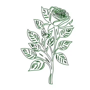 Line art drawing of a single rose with leaves Stock Illustration