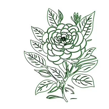 Line art drawing of a single rose with leaves Stock Illustration