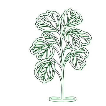 Line art drawing of a tree with large leaves Stock Illustration