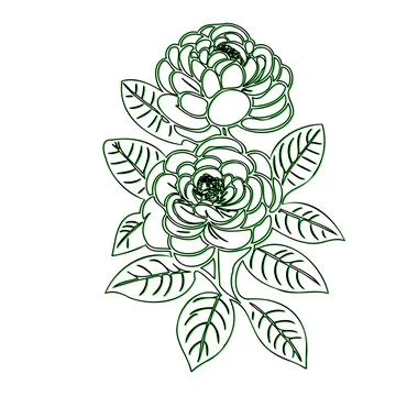 Line art drawing of two blooming roses with leaves Illustrazione stock