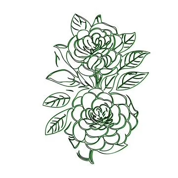 Line Art Drawing of Two Green Roses Illustrazione stock