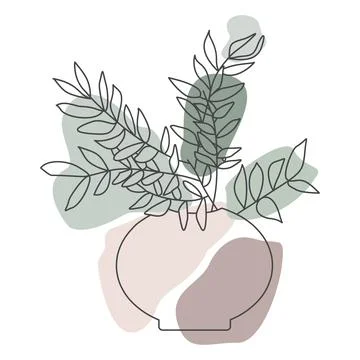 Line art potted eucalyptus, Vector outline Isolated House plant with colorful Stock Illustration