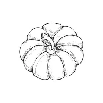 Line art pumpkins Stock Illustration