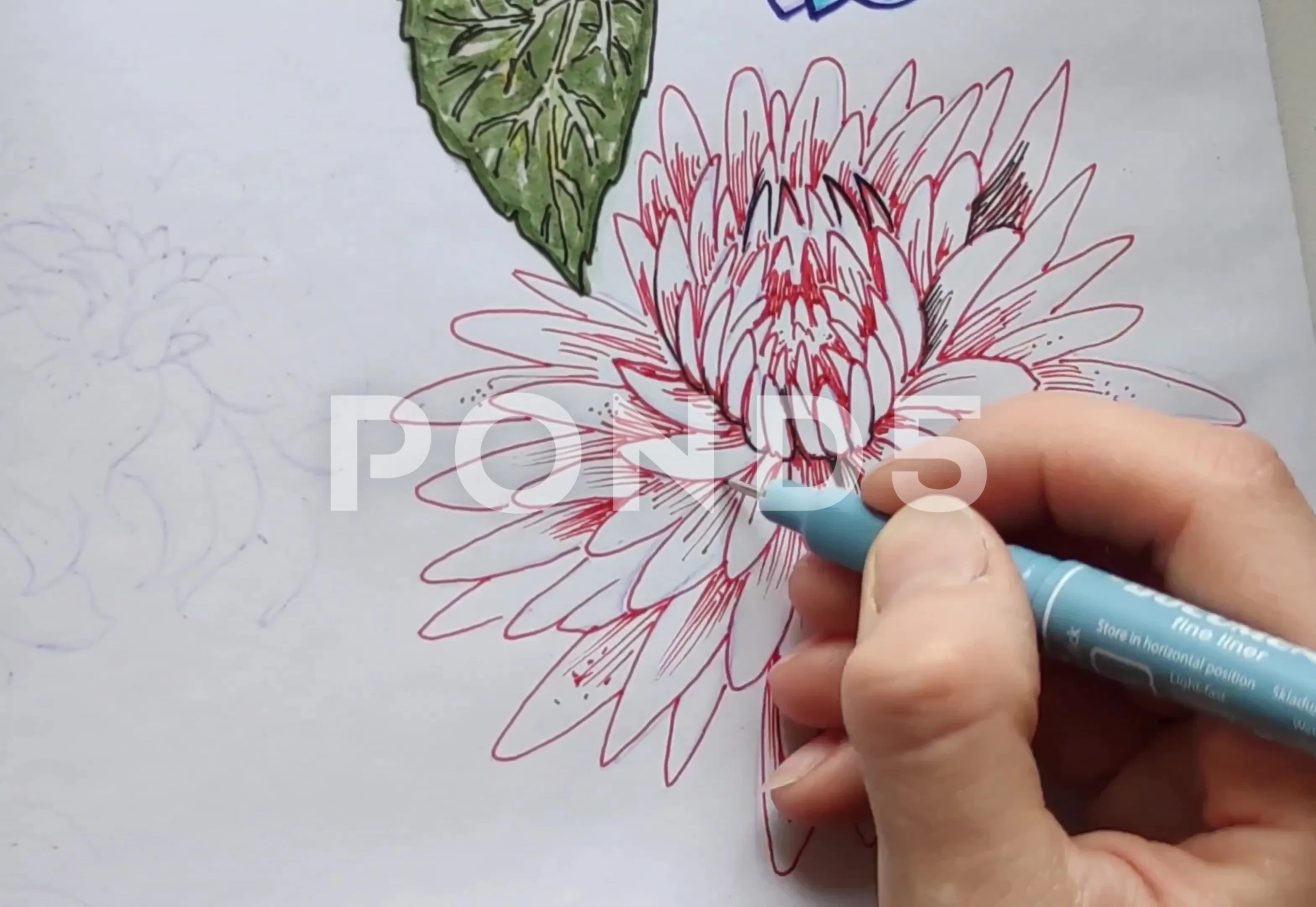 A flower drawing, and a video on saving our planet. | On A Small Blue Planet