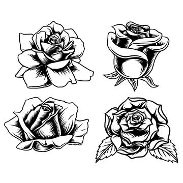 Line art rose Stock Illustration