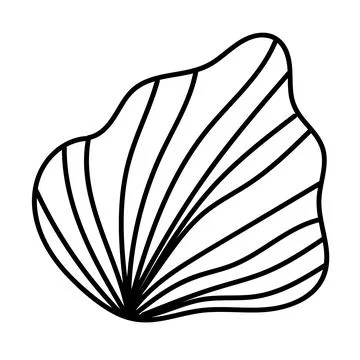 Line art sea shell in a hand-drawn vector format. Stockillustratie