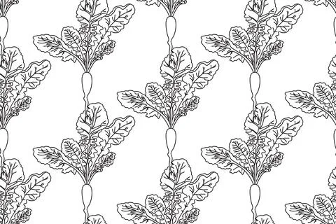 Line art seamless pattern with beets plants vector illustration. Hand drawn.. Stock Illustration