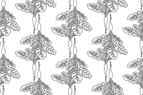 Line art seamless pattern with beets plants vector illustration. Hand drawn.. Stock Illustration
