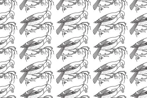 Line art seamless pattern with garden birds vector illustration. Hand drawn.. Stock Illustration
