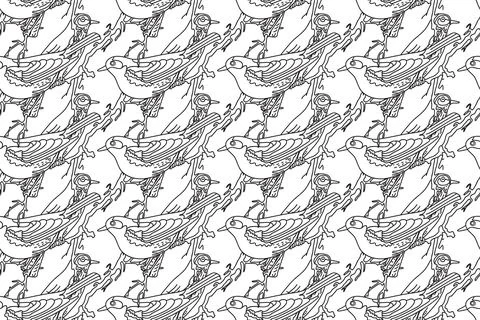 Line art seamless pattern with garden birds vector illustration. Hand drawn.. Illustrazione stock