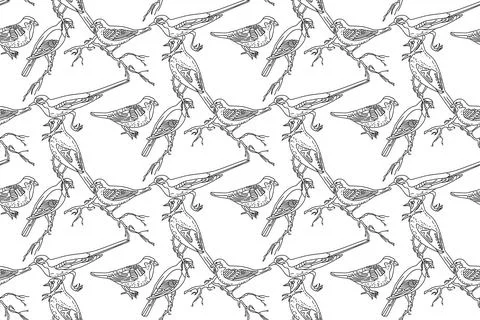 Line art seamless pattern with garden birds vector illustration. Hand drawn.. Stock Illustration