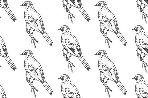 Line art seamless pattern with garden birds vector illustration. Hand drawn.. Stock Illustration