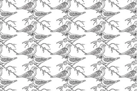 Line art seamless pattern with garden birds vector illustration. Hand drawn.. Stock Illustration
