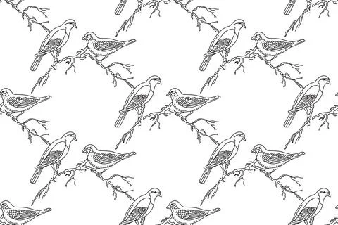 Line art seamless pattern with garden birds vector illustration. Hand drawn.. Stock Illustration