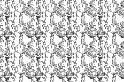 Line art seamless pattern with onions plants vector illustration. Hand draw.. Stockillustratie