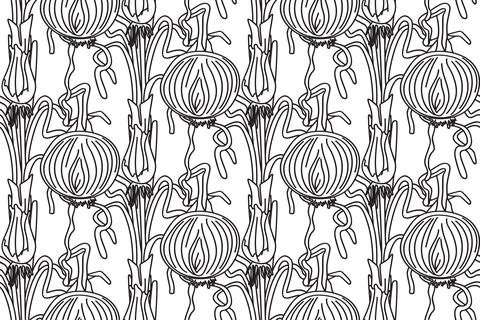 Line art seamless pattern with onions plants vector illustration. Hand draw.. Stock Illustration