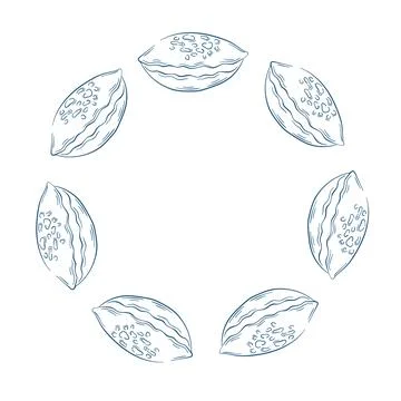 Line art seashell arranged in a circular wreath on a white background. Design Stock Illustration