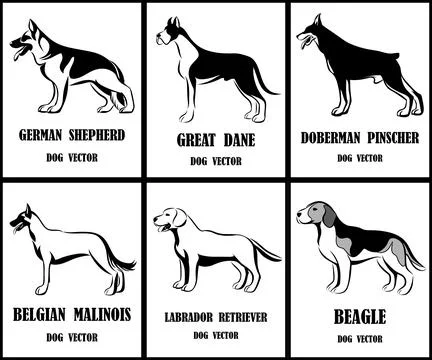 Line art vector illustration of various dogs Illustrazione stock