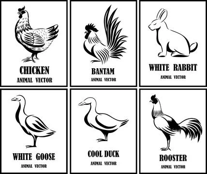 Line art vector illustration of various pets. Stock Illustration