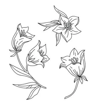 Line art vector set of bell flower Stock Illustration