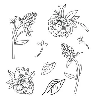 Line art vector set of decorative flowers Stock Illustration