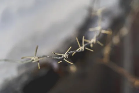 Line barbed wire. focus with shallow depth of field. closeup Stock Photos