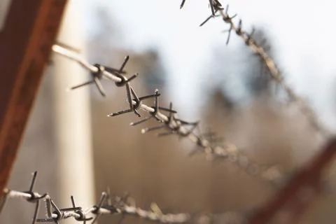 Line barbed wire. focus with shallow depth of field. closeup Stock Photos