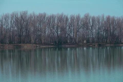 Line of bare trees reflected in calm river water under a clear sky. Minimalis Foto stock