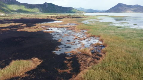 Line between black scorched ground and green grass Stock Footage 139991825