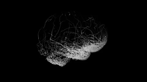 Line brain line Stock Footage 343870654