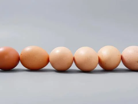 Line of brown eggs on a light gray background Stock Photos