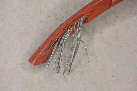 Line cable with wire, insulation and shielding for the electrical system Stock Photos