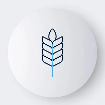Line Cereals set with rice, wheat, corn, oats, rye, barley icon isolated on.. Stock Illustration