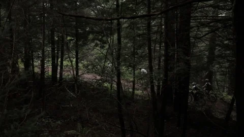 A line of cyclists ride down a dirt path in a forest Stock Footage 91277091