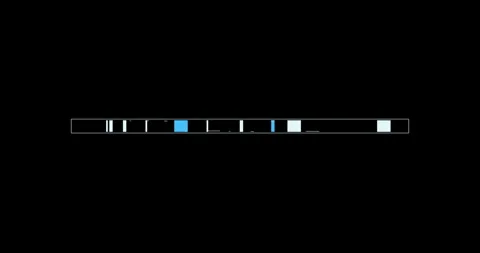 Line digital hitech interface elements HUD border 動画素材 342096205