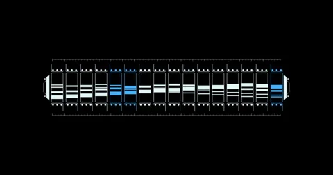Line digital hitech interface elements HUD border Vídeo Stock 342096210